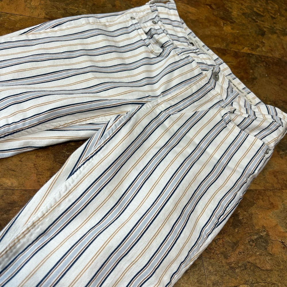 Pilcro and the Letterpress for Anthropologie Cropped Blue and Tan Striped Jeans - Picture 2 of 8